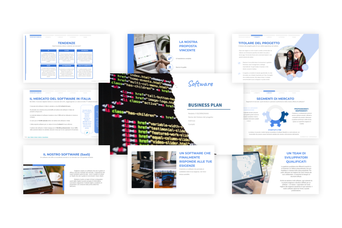 Software Business Plan