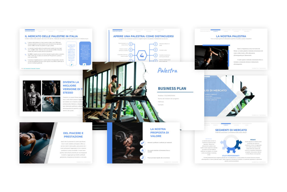 Palestra Business Plan
