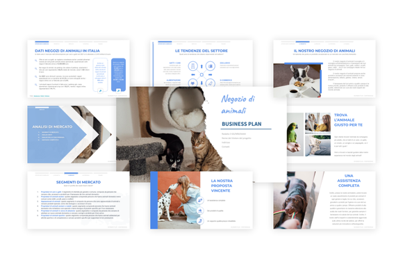 Come fare un business plan per un pet shop?